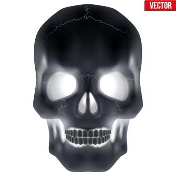 X-ray Human skull Stock Illustration