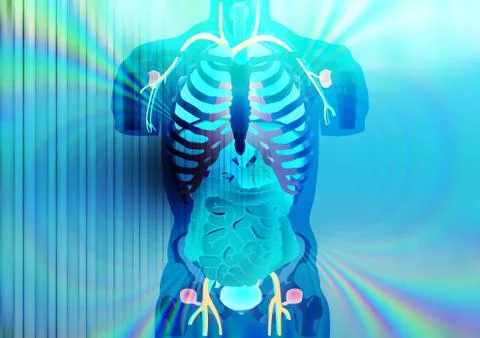X-RAY Stock Illustration