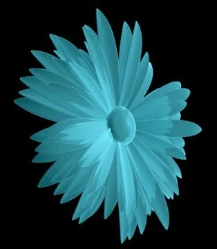 X-Ray Image of Chamomile Flower Stock Illustration