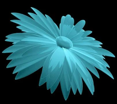 X-Ray Image of Chamomile Flower Stock Illustration
