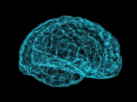 X-ray image of human brain Illustrazione stock
