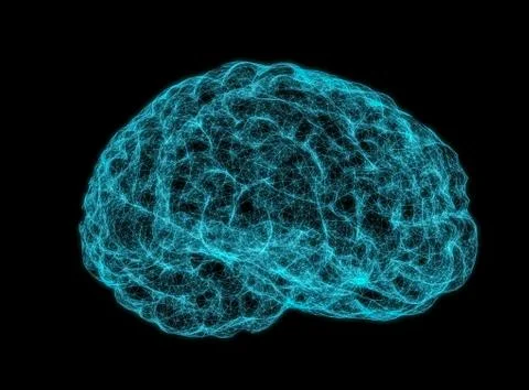 X-ray image of human brain Stock Illustration