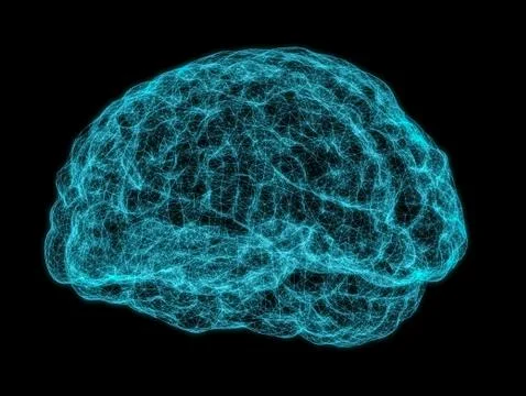 X-ray image of human brain イラスト素材