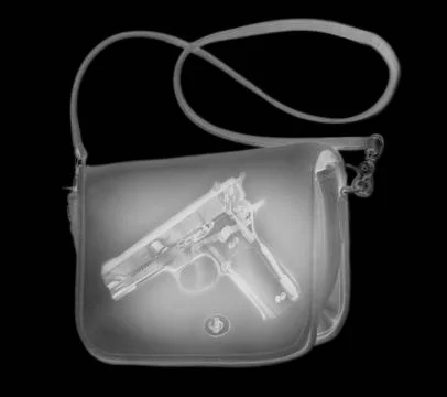 X-ray image showing handbag containing pistol Illustrazione stock