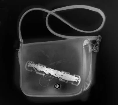 X-ray image showing handbag containing test tube with germs イラスト素材