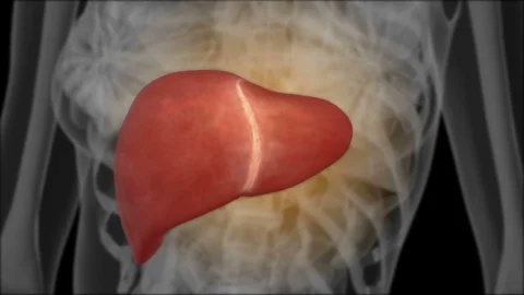 X-ray of the liver Stock Footage 74107730