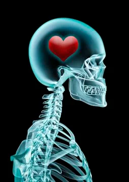 X-ray love Иллюстрация
