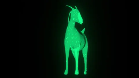 X-Ray Neural Skeleton Goat Multi-Angle Animation Stock-Footage 328799539