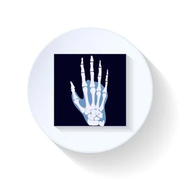 X-ray photograph flat icon Stock Illustration