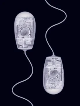 X RAY PHOTOGRAPHIC IMAGE OF COMPUTER MICE SWIMMING LIKE SPERM 스톡 사진