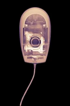 X RAY PHOTOGRAPHIC IMAGE OF COMPUTER MOUSE 스톡 사진