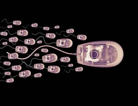X RAY PHOTOGRAPHIC IMAGE OF COMPUTER MICE SWIMMING LIKE SPERM Stock Photos