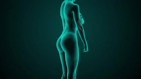 X-ray scan of the female elbow joint Stock Footage 279919409