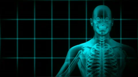 X-ray scan of man with zoom on body. HD. Stock Footage 133036