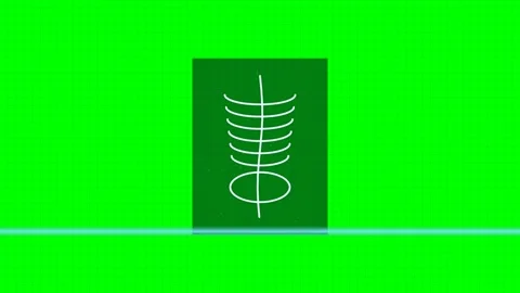 X Ray Scan Revealing Skeleton Structure on Green Screen Stock Footage 342090655