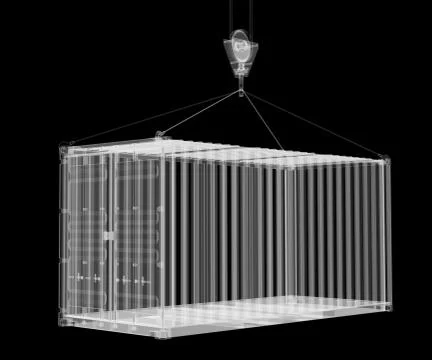 X-ray shipping container Stock Illustration