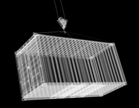 X-ray shipping container Stock Illustration