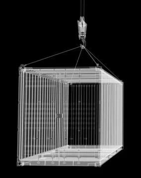 X-ray shipping container Stock Illustration
