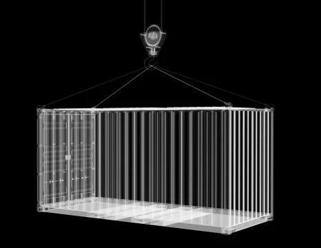 X-ray shipping container Stock Illustration