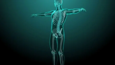 X-ray skeleton animation of lower back spine pain 库存影片 73655055