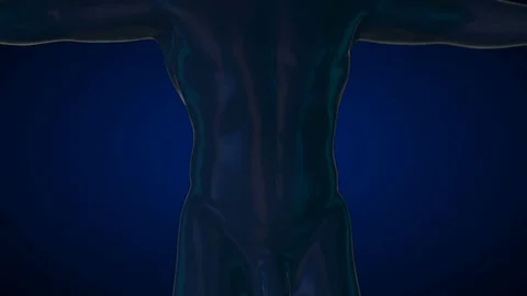 X-ray skeleton animation of lower back spine pain Stock Footage 77191162