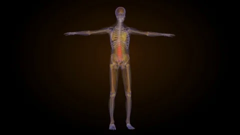 X-ray skeleton animation of lower back spine pain Stock Footage 77191226