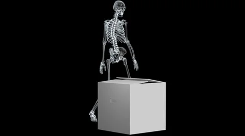 X Ray Skeleton Stock Footage 32169501