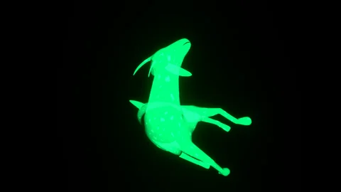 X-Ray Skeleton Goat Death Fall 3-Angle Stock Footage 329145931