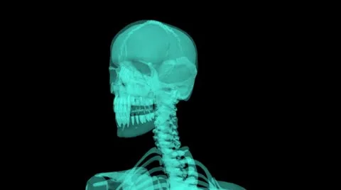 X-ray Skeleton seemless loop with alpha channel Stock Footage 8929478