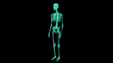 X-ray Skeleton seemless loop with alpha channel Stock Footage 8930990
