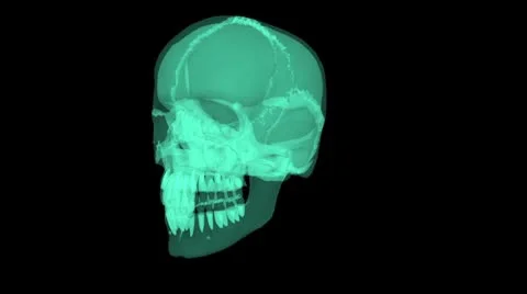X-ray Skeleton seemless loop Stock Footage 8947031