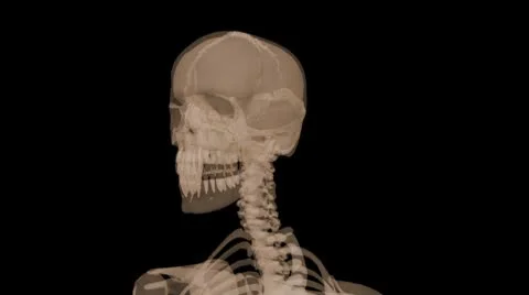 X-ray Skeleton seemless loop Stock Footage 8947070