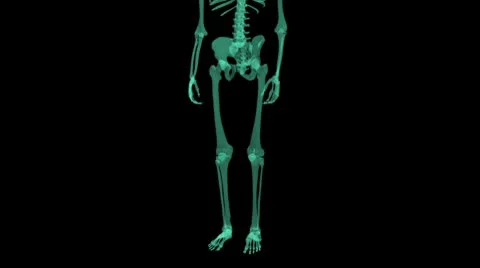 X-ray Skeleton seemless loop Stock Footage 8947085