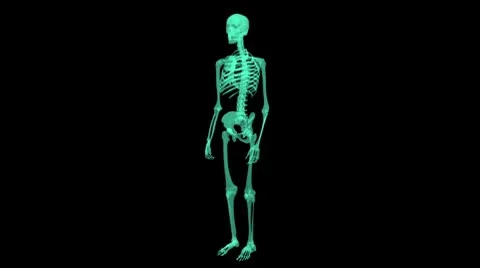 X-ray Skeleton seemless loop Stock Footage 8947149