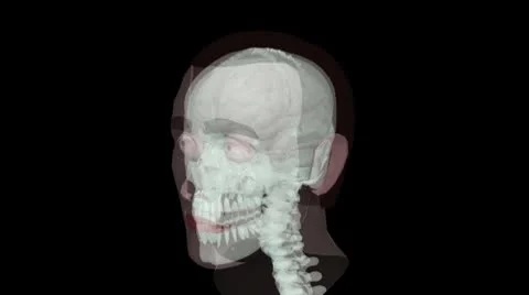 X-ray Skeleton seemless loop Stock Footage 8947209