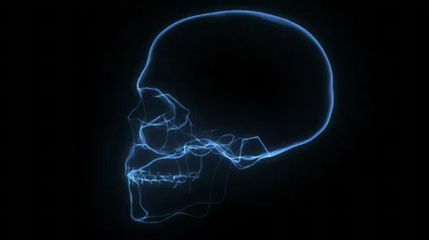X-Ray Skull (HD720) Stock-Footage 486906