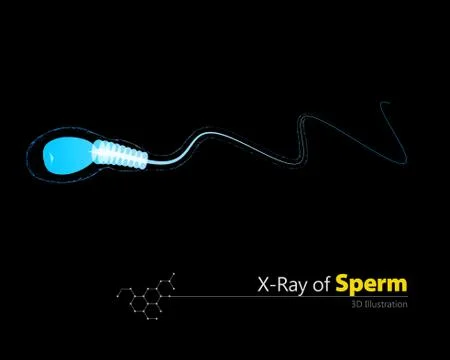 X-Ray Sperm. 3d illustration. on black background Stock Illustration