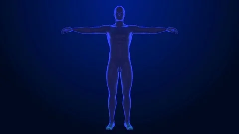 X-ray style - medical 3d animation of a male Stock Footage 73580366