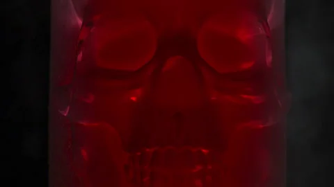 X-RAY Style Red Skull HD Stock Footage 256288454