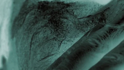 X-ray style sunblock cream on face. Seeing sunblock taking out UV rays Stock Footage
