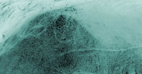 X-ray style sunblock prevention from aging Stock Footage 76101472