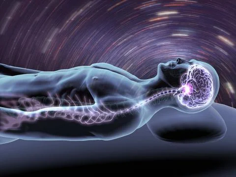 X-ray view of a man dreaming with view of brain and spinal cord Ilustración de archivo