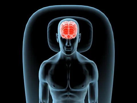 X-ray view of a man resting with view of brain イラスト素材