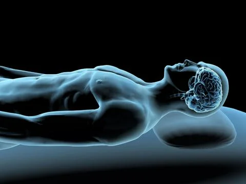 X-ray view of a man resting with view of brain Ilustración de archivo