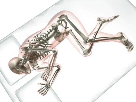 X-ray view of a man sleeping Stock Illustration