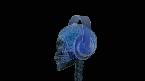 X-ray view at side of head with headphones on. Stock Footage 96076817