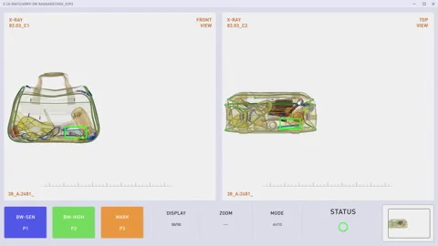 X-Ray Visual Check Inspection Software Alerts Security Of Prohibited Items Stock Footage 319680077