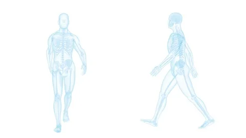 X-ray walking man on white background. Vidéo 72331482