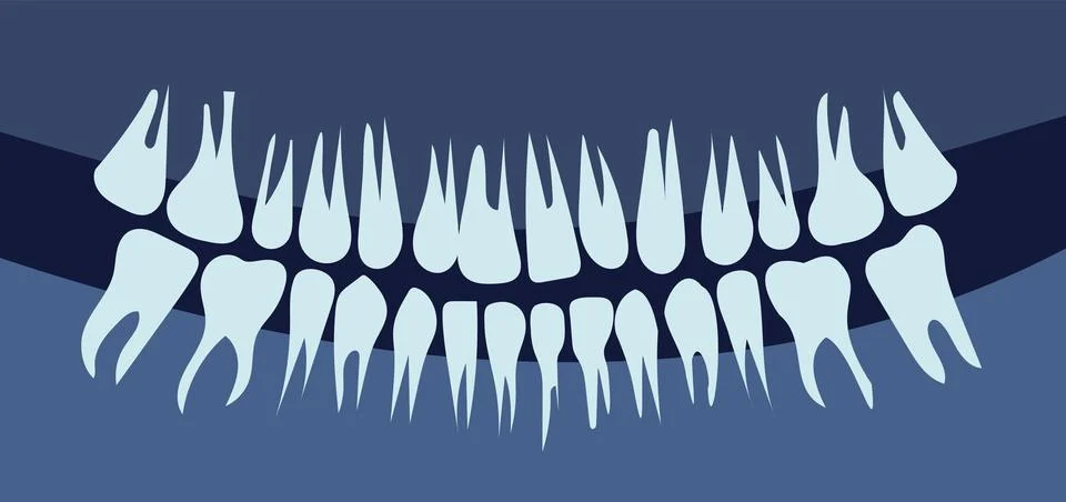 X rays image with bone. Xray of mouth with teeth. Dentistry and stomatology Stock Illustration