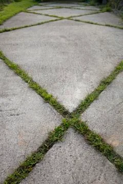 X shaped grass Stock Photos